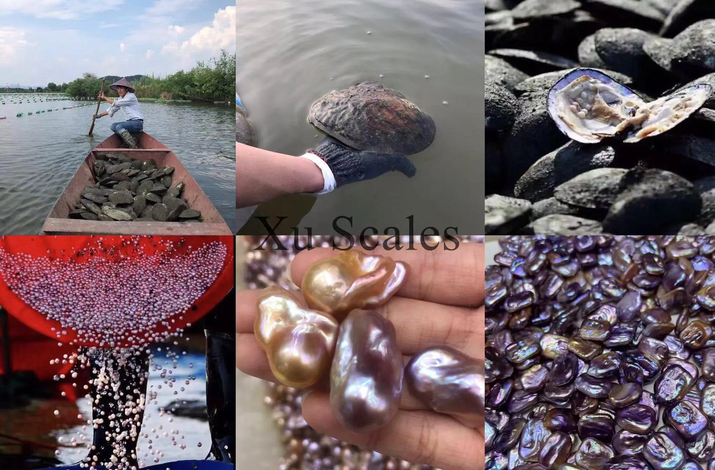 Natural Freshwater Irregular Colorful Bright White Baroque Pearl Bracelet with Elastic Rope That Can Be Adjusted in Size Freely