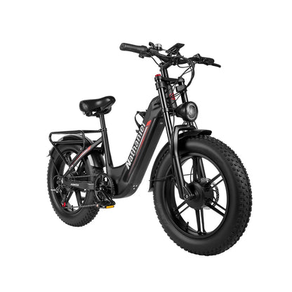 Nathaniel SYR08 2000W Dual Motor E-Bike,20*4.0 Fat Tire,20AH Detachable battery,Speed 50+,Daily commuting, Adult Electric Bike