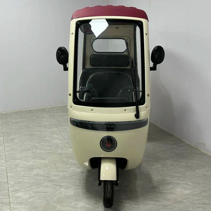 Factory New Premium Edition Tricycle Adult Electric  With Covered