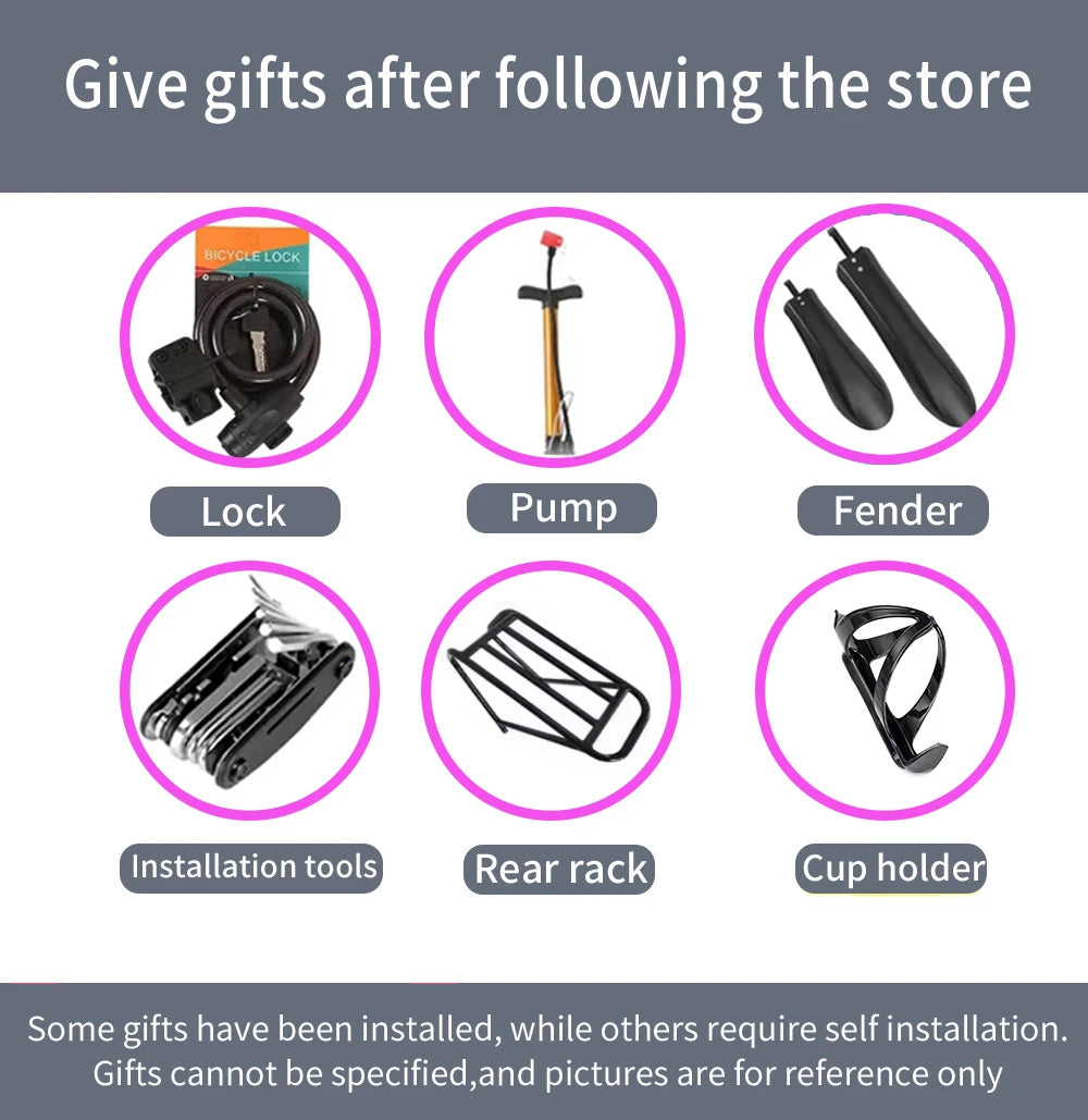 Nathaniel SYR09 adult electric bike, Dual motor 2000W,26*4.0Fat tires,48V20Ah,55KM/H, All terrain off-road E-bike