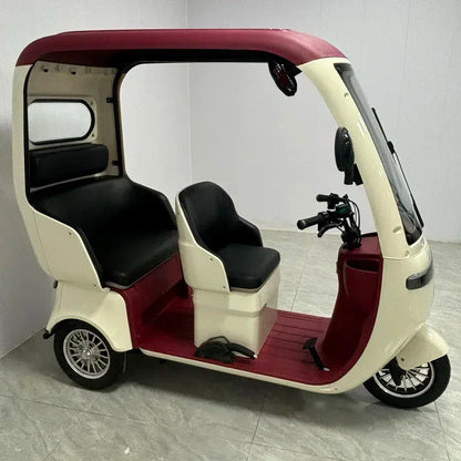 Factory New Premium Edition Tricycle Adult Electric  With Covered