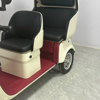 Factory New Premium Edition Tricycle Adult Electric  With Covered