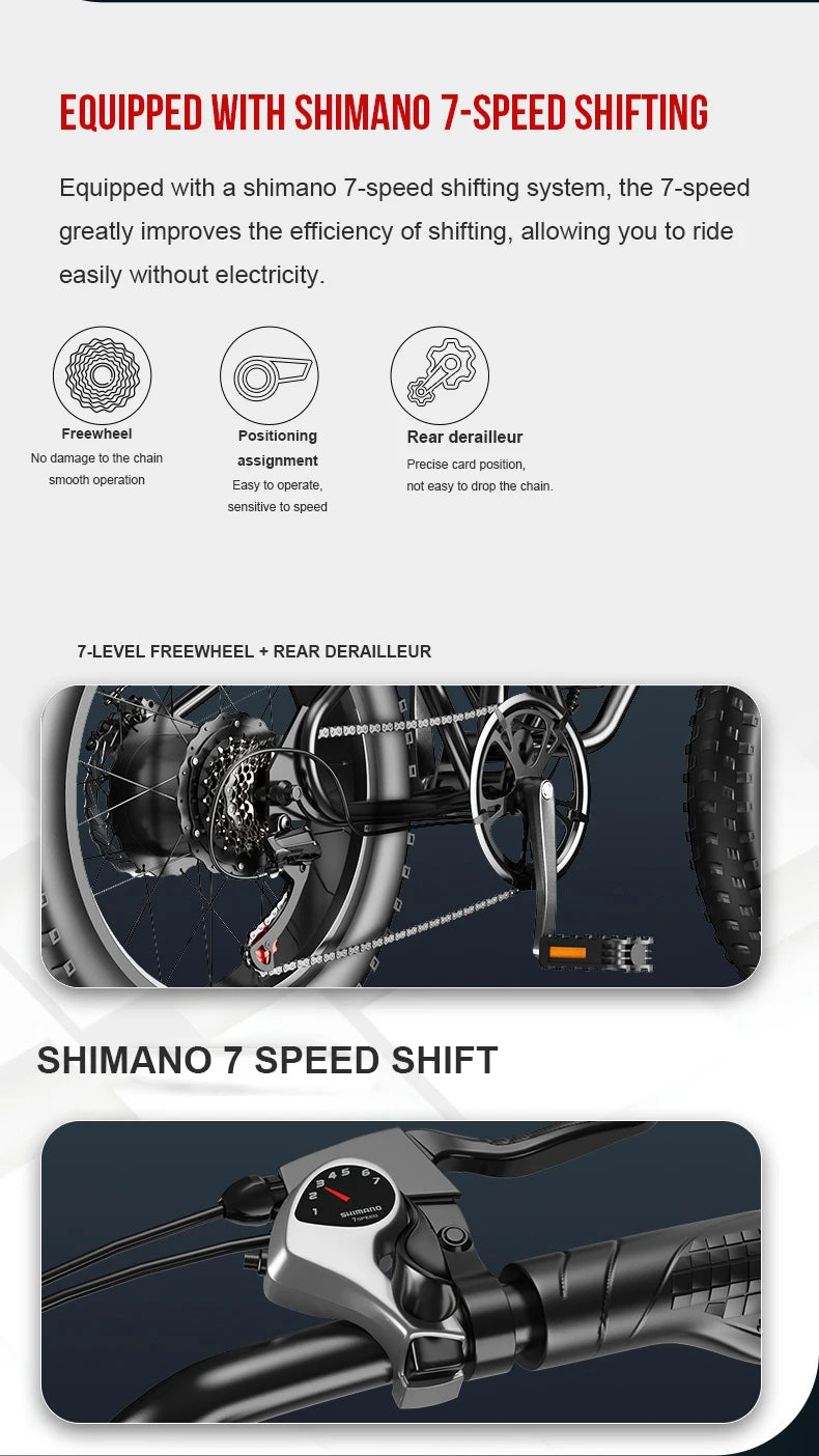 Electric Retro Motorcycle with Soft Tail, High Power Motor, Off-Road Motorbike, Off-road Bicycle, 20 Super Ebike, 48V, 1500W