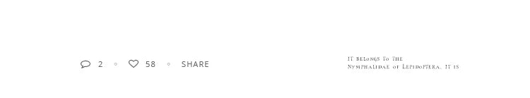 2025 New Jewelry For Women's Mysterious Sexy Black Crystal Zircon Ball Pendant Necklace Party Luxury Necklace Girls Accessories