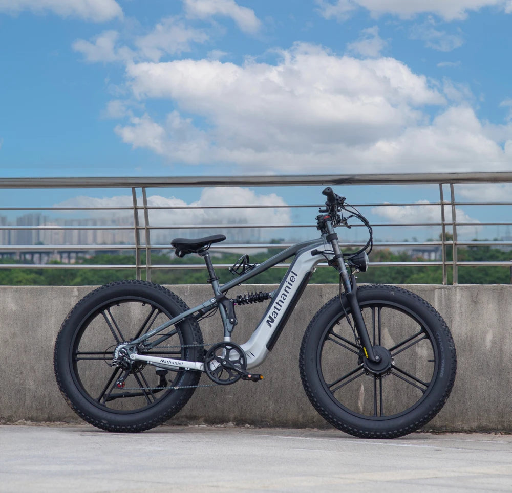 Nathaniel SYR09 adult electric bike, Dual motor 2000W,26*4.0Fat tires,48V20Ah,55KM/H, All terrain off-road E-bike