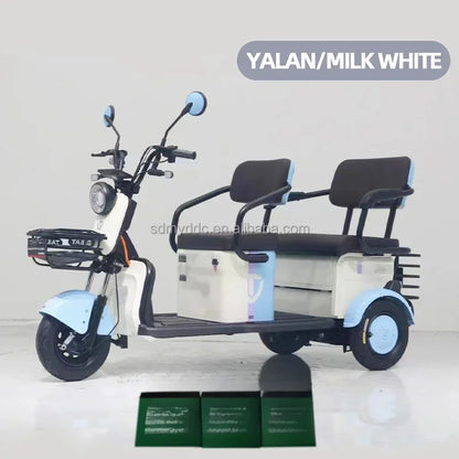 New Electric Tricycle Adult  Agricultural Double Row Electric Tricycle with 3 Wheel