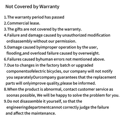 Nathaniel SYR08 2000W Dual Motor E-Bike,20*4.0 Fat Tire,20AH Detachable battery,Speed 50+,Daily commuting, Adult Electric Bike