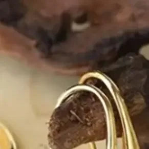 Ladies' Fashion Tear Bead Jewelry Set Gold Ring Necklace Bracelet Earring Four Piece Set Suitable For Engagement Jewelry Gifts