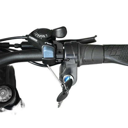 Electric BicycleS8 3500W Powerful motor 48V60AH lithium battery Mountain adult Electric Bike Disc Brakes 20 Inch Fat Tire E-bike