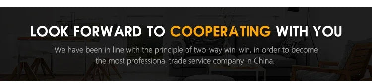 Factory New Premium Edition Tricycle Adult Electric  With Covered