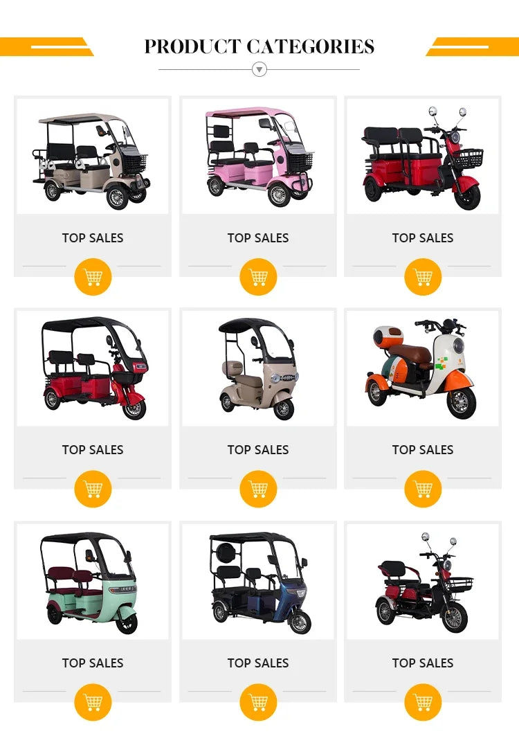 Factory New Premium Edition Tricycle Adult Electric  With Covered