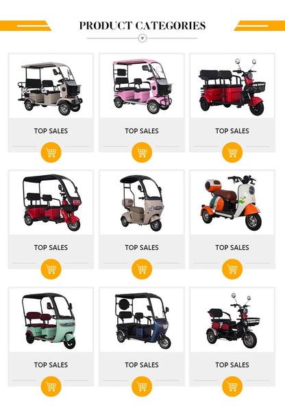 Factory New Premium Edition Tricycle Adult Electric  With Covered