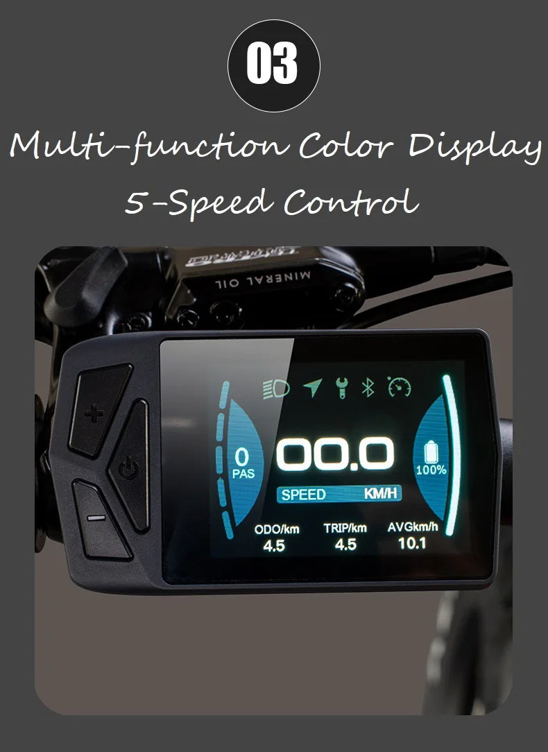 Folding Electric Trike 20'' Fat Tire For Adults 350W Ebike Motorized Electric Three Wheels Bicycle Basket Electric Tricycle