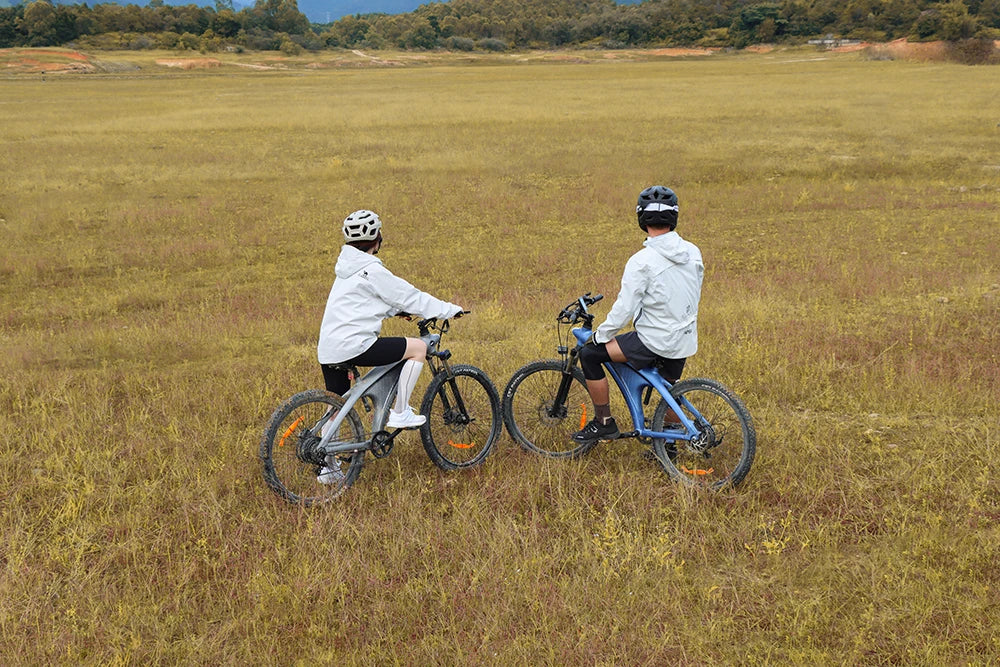 HX Q5 e bike Adults electric bike 48V 20AH 27.5 Inch  Electric bicycle City Electric bike E Bikes Mountain ebike