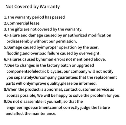 Nathaniel SYR09 adult electric bike, Dual motor 2000W,26*4.0Fat tires,48V20Ah,55KM/H, All terrain off-road E-bike