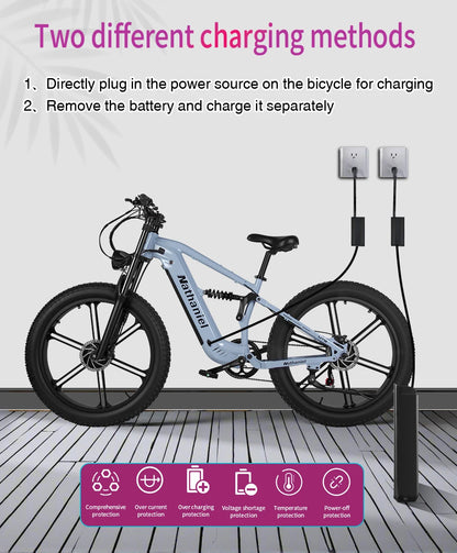 Nathaniel SYR09 adult electric bike, Dual motor 2000W,26*4.0Fat tires,48V20Ah,55KM/H, All terrain off-road E-bike