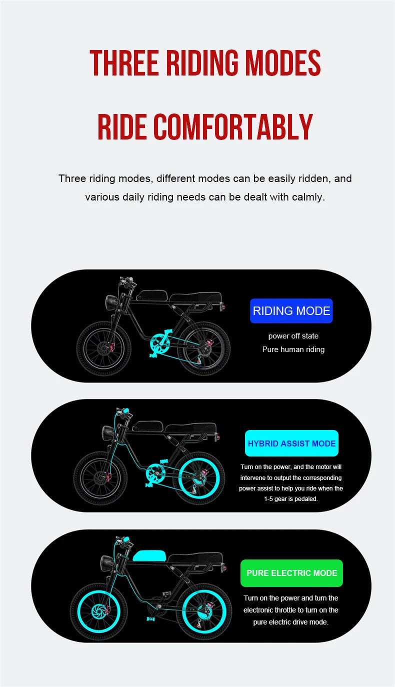 Electric Retro Motorcycle with Soft Tail, High Power Motor, Off-Road Motorbike, Off-road Bicycle, 20 Super Ebike, 48V, 1500W