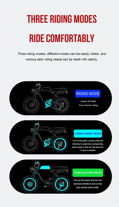 Electric Retro Motorcycle with Soft Tail, High Power Motor, Off-Road Motorbike, Off-road Bicycle, 20 Super Ebike, 48V, 1500W