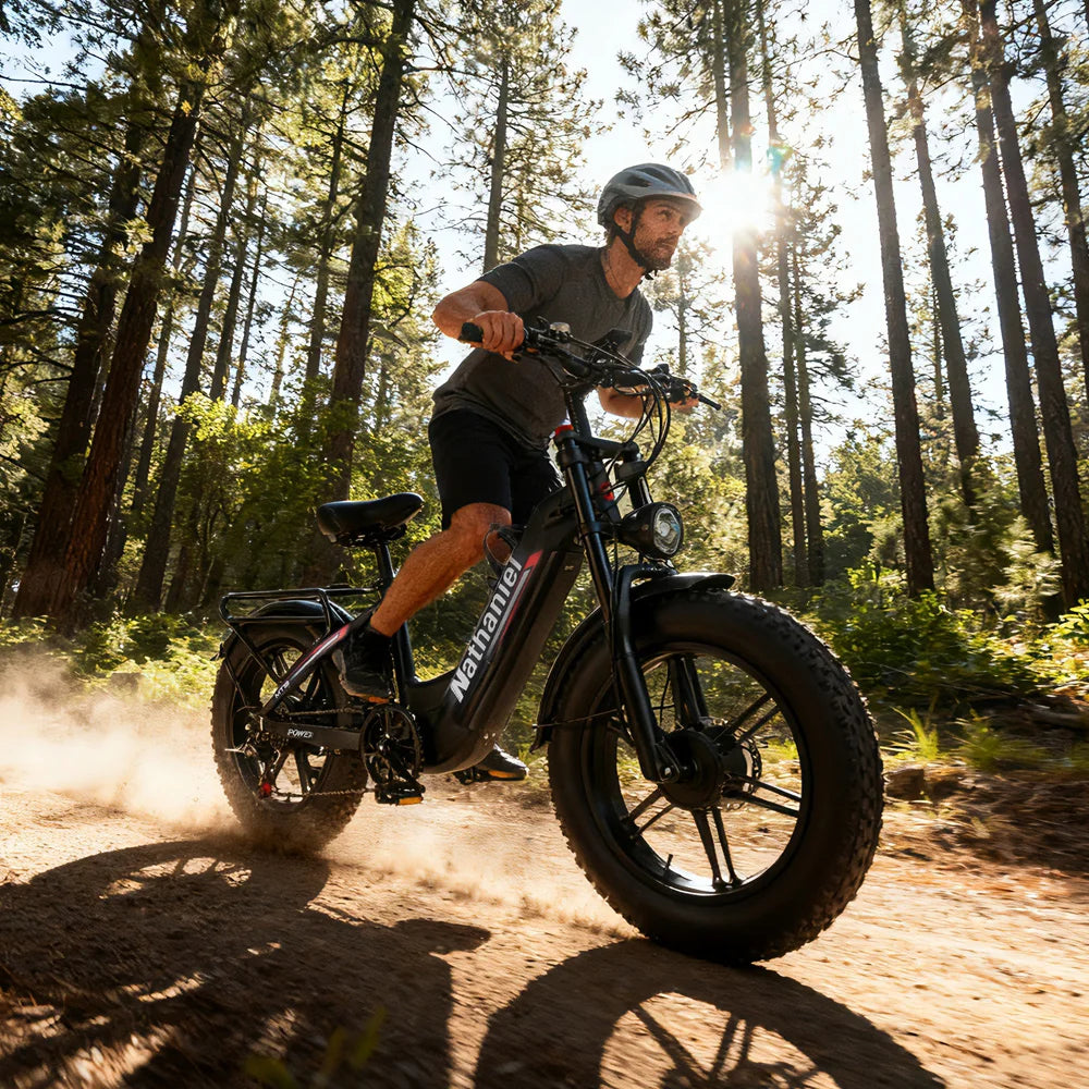 Nathaniel SYR08 2000W Dual Motor E-Bike,20*4.0 Fat Tire,20AH Detachable battery,Speed 50+,Daily commuting, Adult Electric Bike