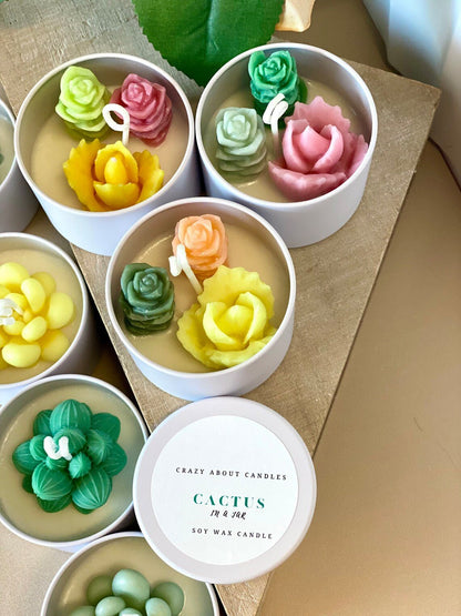 Cactus in a Jar Scented Candle - Handmade Aroma Bliss